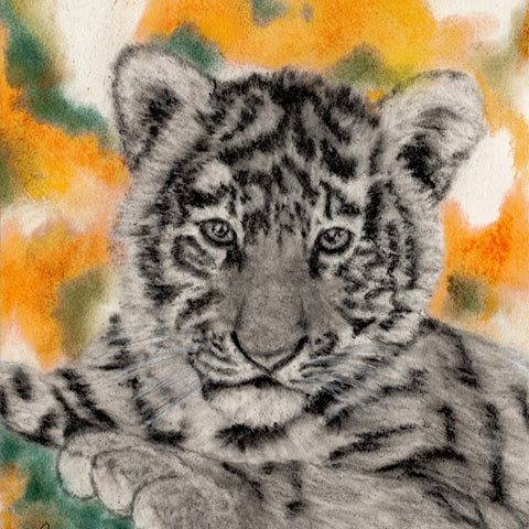 Nursery Print of a baby tiger Painting by Irish Wildlife Artist Jessica Ivy