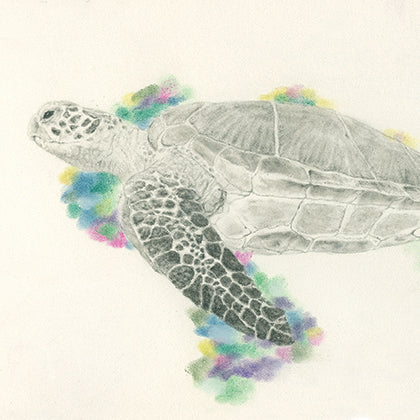 Print of a Turtle Painting by Irish Wildlife Artist Jessica Ivy