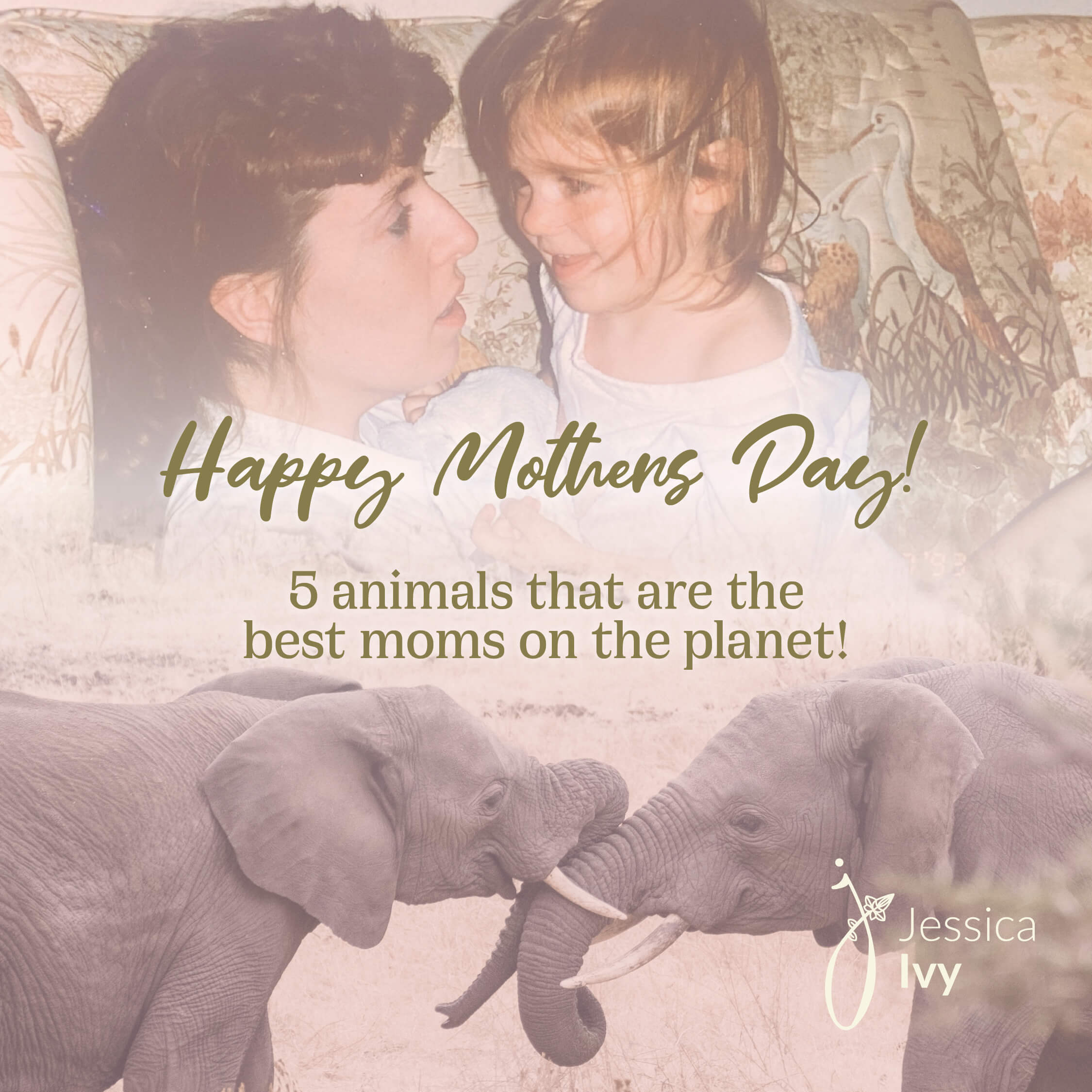 Happy Mothers Day | 5 Best Animal Mums blog post