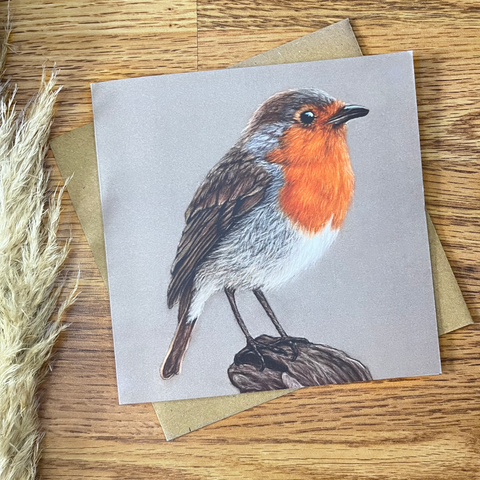 Christmas Card Robin Redbreast