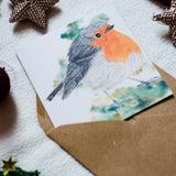 Christmas robin card by Irish Wildlife artist Jessica Ivy