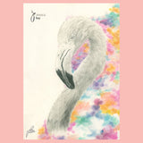 Print of a Flamingo Painting by Irish Wildlife Artist Jessica Ivy