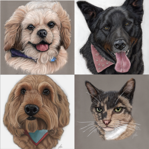 PET PORTRAIT COMMISSIONS