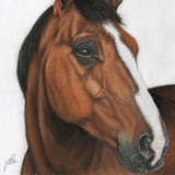 Bay Horse Original Painting