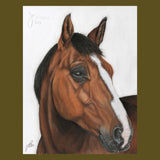 Bay Horse Original Painting