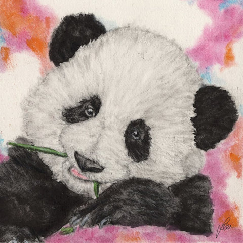 Original Painting of a baby Panda by Irish Wildlife Artist Jessica Ivy
