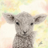 Original Painting of a Lamb by Irish Wildlife Artist Jessica Ivy