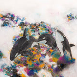 Limited Edition Print of a pod of Killer Whales Painting by Irish Wildlife Artist Jessica Ivy