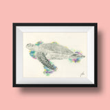 Print of a Turtle Painting by Irish Wildlife Artist Jessica Ivy